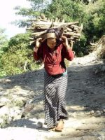 непальская девушка с дровами