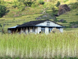 дом среди рисового поля