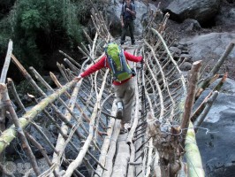 На бамбуковом мосту