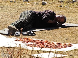 я на солнышке лежу, а рядом мясо сушится я на солнышке лежу