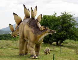 динозавр с пластинами на спине - не помню как называется