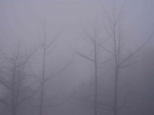 Nebel in Kiew